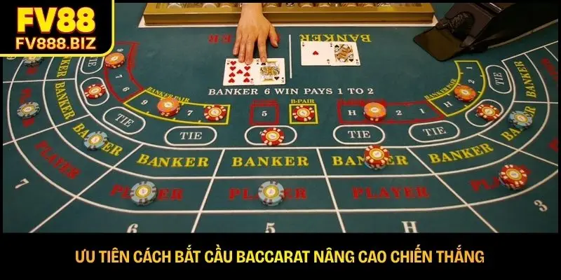 Cách Bắt Cầu Baccarat Hiệu Quả Cho Người Chơi Mới