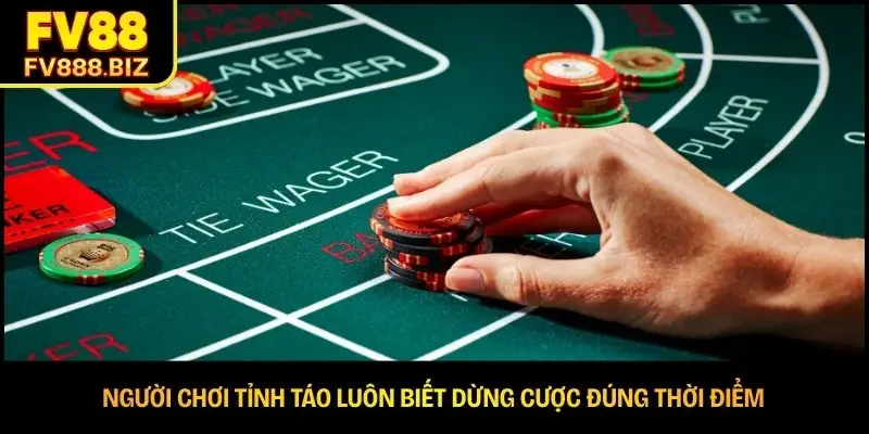 Cách Bắt Cầu Baccarat Hiệu Quả Cho Người Chơi Mới