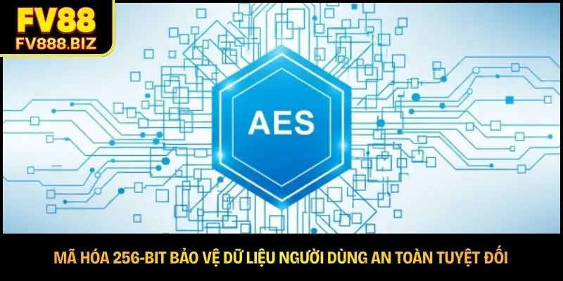 Giấy Phép Hoạt Động FV88 – Cơ Sở Khẳng Định Uy Tín