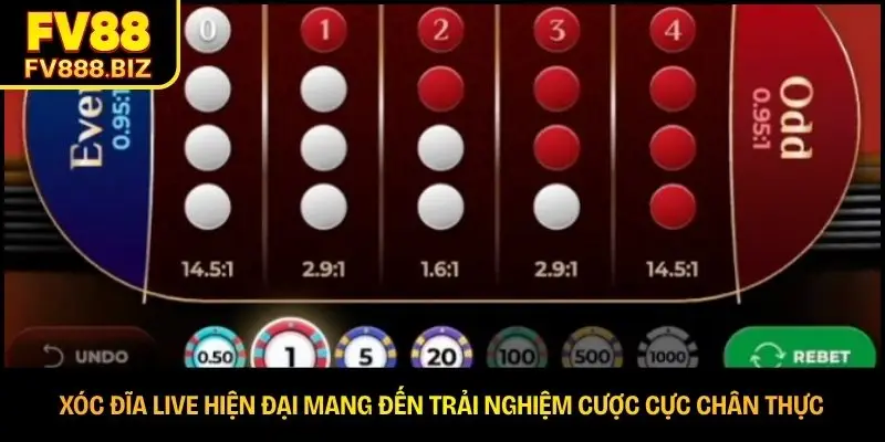 Xóc Đĩa Live | Cách Chơi Và Mẹo Hữu Ích Cho Tân Thủ 