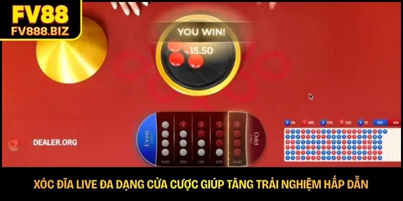 Xóc Đĩa Live | Cách Chơi Và Mẹo Hữu Ích Cho Tân Thủ 